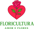 Floricultura Amor e Flores